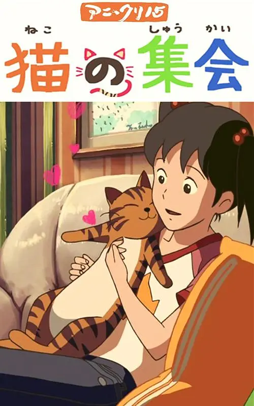 在线 不卡 免费 欧美
